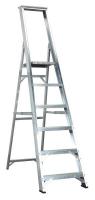 Sealey Aluminium six-industrial ladder.